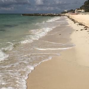 Meet your Posher, Bobby